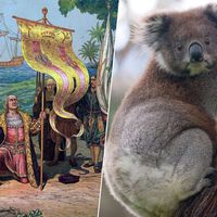 Australia fue descubierta en 1606 por neerlandeses. Una teoría defiende que alguien se adelantó un siglo: los gallegos 