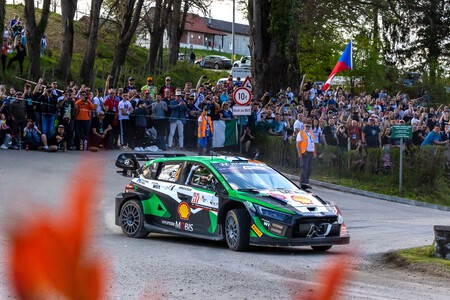 Lappi Croacia Wrc 2023