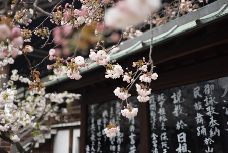 Japon Revoluciono La Igualdad Con Su Politica De Womenomics Pero Les Esta Dando Resultados 6