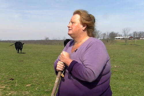A sus 82 años, una agricultora ha rechazado una oferta de 26 millones para instalar un centro de datos en sus campos