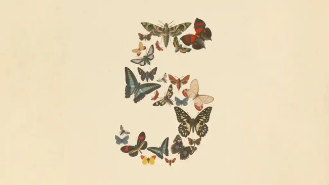 Claude Fable 5