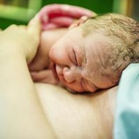 ¿Pueden las bacterias de la vagina materna mejorar la salud de los bebés que nacen por cesárea?