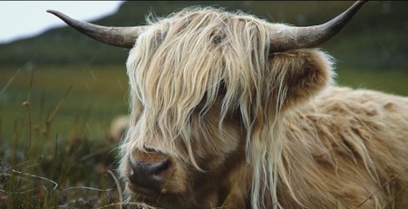 Vídeos inspiradores: Escocia, lagos, montañas y luz 