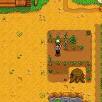 Stardew Valley | Los mejores cultivos para sembrar en primavera 