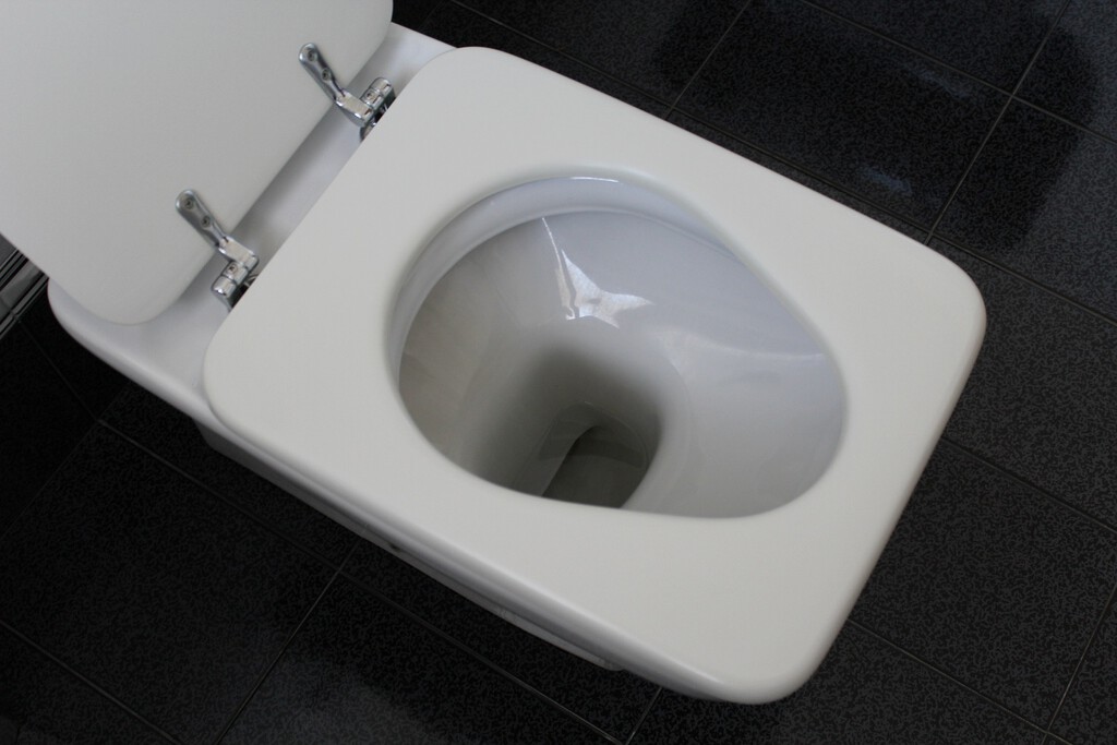Nunca se me habría ocurrido usar este producto para limpiar el baño: desde que lo descubrí, no uso otra cosa 