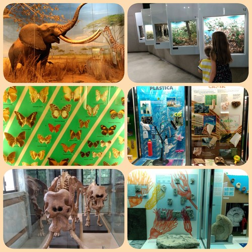 Milán, más que el Duomo: visita al Museo de Historia Natural 