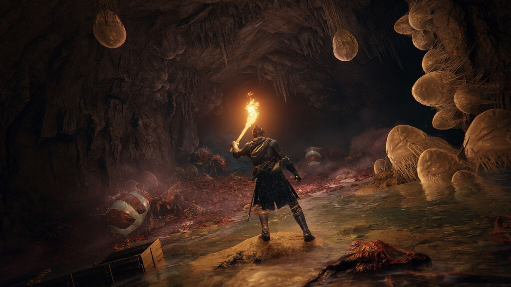 Mientras te quejas de que otros juegos reutilizan cosas, FromSoftware te la cuela en Elden Ring una y otra vez desde hace años 