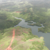 Em 1940, uma cobra apareceu em uma ilha dos EUA e acabou com a fauna: hoje, só sobraram as cobras e as aranhas 