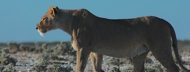 Manual de supervivencia si no tienes vacaciones