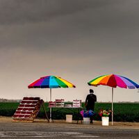 Vender fruta a pie de carretera tiene los días contados. La norma lo prohíbe y ya están poniendo multones: a este agricultor le han sancionado con 10.000 euros