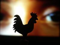 Gallinas, gallos, y empresas