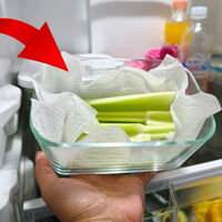 Ni bolsas ni recipientes: el truco con servilletas para que tus verduras duren semanas