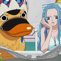 El mejor amigo de Vivi se quedó sin aparecer en la segunda temporada de One Piece, pero Netflix ya ha confirmado a este personaje para el arco de Arabasta 