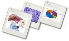 Herramientas online para la creación de presentaciones de diapositivas