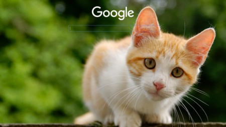 Guía completa de Stylish: cómo cambiar el aspecto de tus webs favoritas