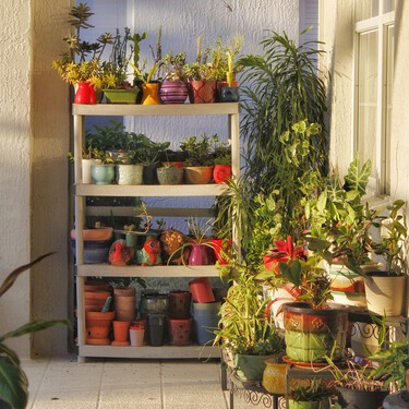Las macetas escalonadas de Lidl perfectas para tener diferentes especies en cultivo y dar un toque moderno a tu jardín o terraza