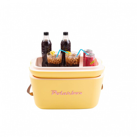 Nevera Polaxbox 20l Color 009