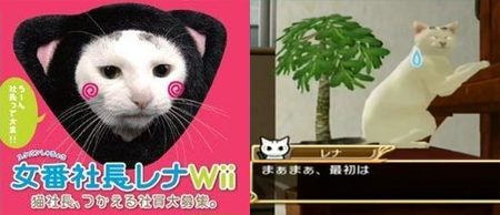 'Sukeban Shachou Rena', el juego de Wii más minoritario de todos los tiempos