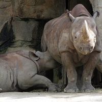 Con esta imagen, cientos de madres muestran lo absurdos que son algunos comentarios hacia las madres lactantes