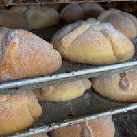 México tiene una debilidad por el pan dulce y mantener ese antojo es cada vez más caro