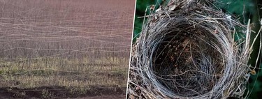 Fibra óptica: a tecnologia simples que está fazendo a Rússia vencer a guerra metro a metro 