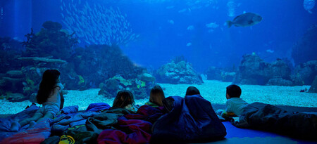 Oceanario Lisboa niños