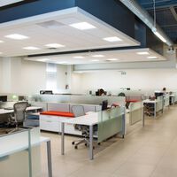 "La IA puede eliminar trabajos y también crearlos", una encuesta revela que el 41% de los jefes busca reducir su plantilla con esta tecnología