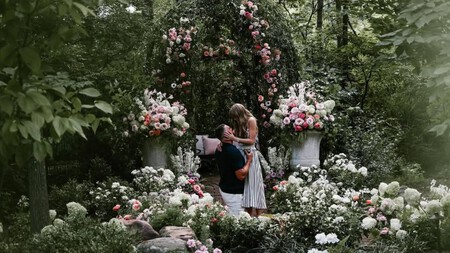 Cómo recrear la pedida de mano de Taylor Swift: jardines románticos en México y el significado de sus flores