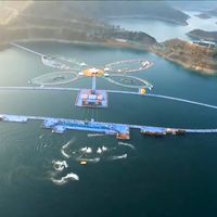 Caminar sobre las aguas ya es posible en China. Vídeo 
