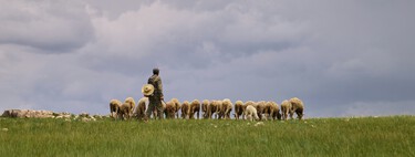 Galicia lacks shepherds to clean the mountains. So he has done the most logical thing: create a school for shepherds