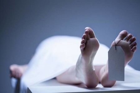 Por estos factores se desplaza ligeramente el cuerpo de un cadáver 17 meses después de haber muerto
