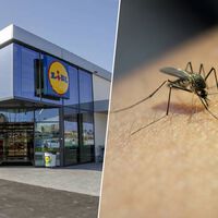 Llega a Lidl el próximo viernes 5 de junio este dispositivo por menos de 10 euros para combatir a los mosquitos sin insecticidas