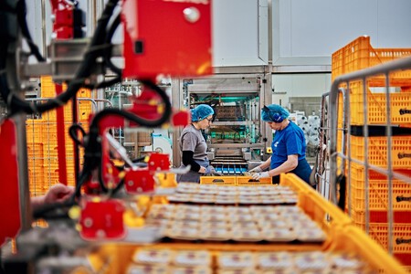 Los yogures de la longevidad