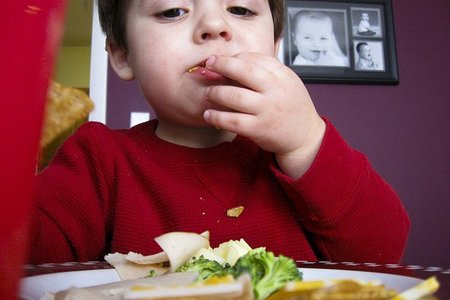 Especial Alimentación Infantil: recomendaciones generales para una alimentación infantil sana (I)
