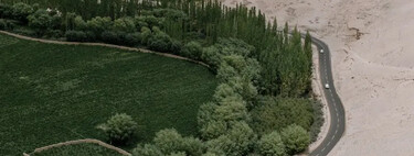 A China plantou milhões de árvores para frear o deserto, mas cometeu um erro de cálculo: a floresta começou a 'beber' a água das pessoas 