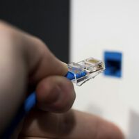 A cor do seu cabo Ethernet não é apenas decorativa: é uma linguagem visual fundamental 