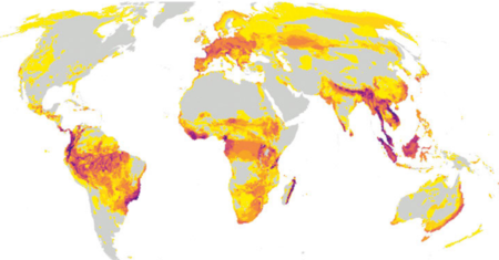 Puntos Calientes De Extincion De Animales En El Mundo