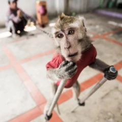 Foto 4 de 9 de la galería denuncia-ecologica en Xataka Foto