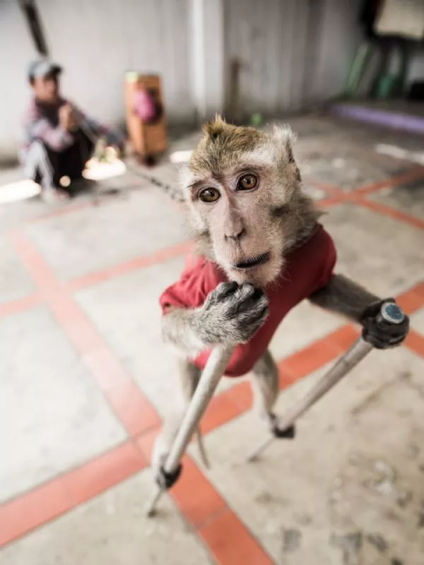 Foto de Denuncia ecológica (4/9)