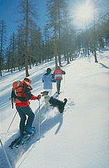 Senderismo con raquetas de nieve