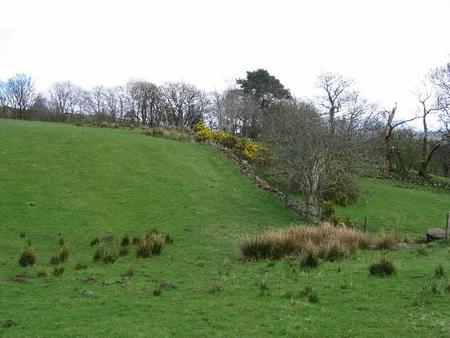 56°_n_4°w_-_geograph.org.uk_-_6120.jpg