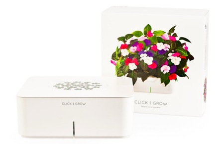 Plantas que se cuidan solas gracias a Click & Grow