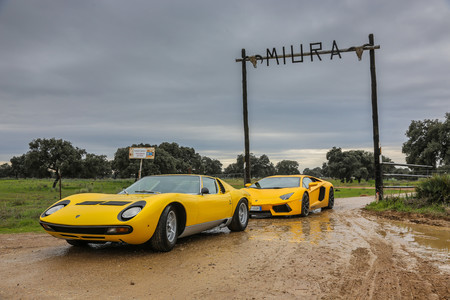 Bastan sólo 6 minutos de vídeo para repasar la intensa historia de Lamborghini desde 1964
