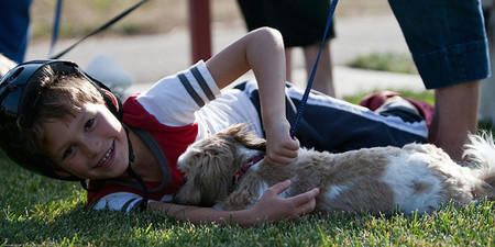 Recomendaciones para padres con niños alérgicos a los animales