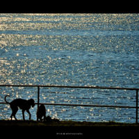 Emprender es para perdedores 