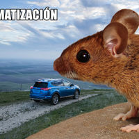 Cuando tu coche es el menú preferido de los roedores