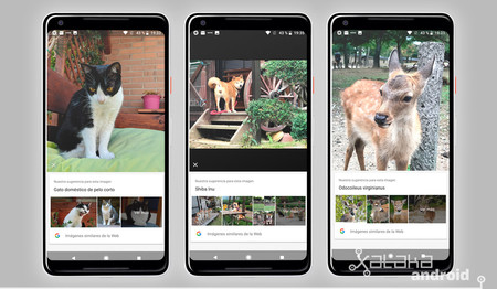 Google Lens Analisis