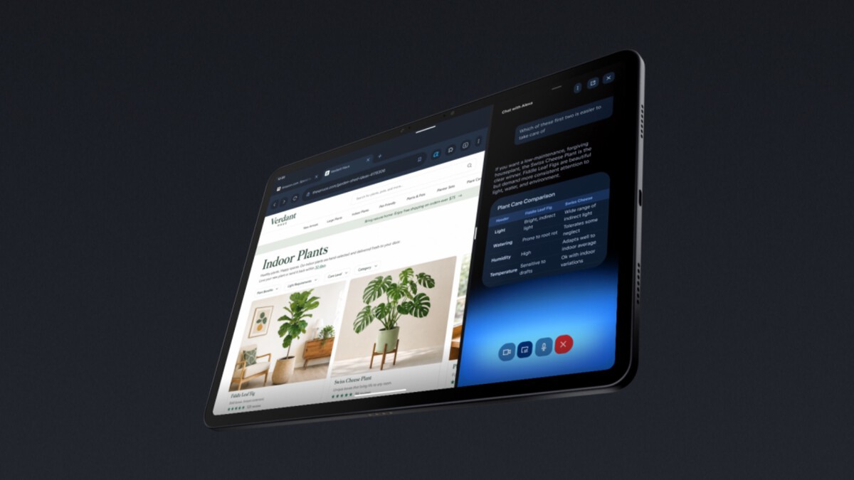 Lexus Partners article image