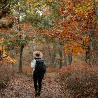 Los entrenadores coinciden sobre andar: no hay que trotar ni salir a caminar rápido. La clave es el "paseo de abuelo" 