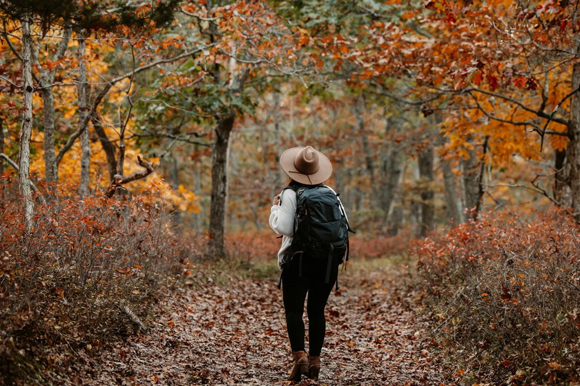 Royce Fonseca Iujezrvgqgc Unsplash
